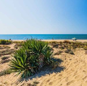 spiaggia di Marina di Vecchiano