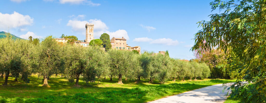Vicopisano | Territori | Terre di Pisa