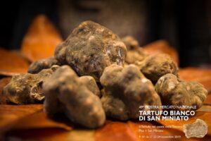 mostra mercato tartufo bianco san miniato novembre 2019