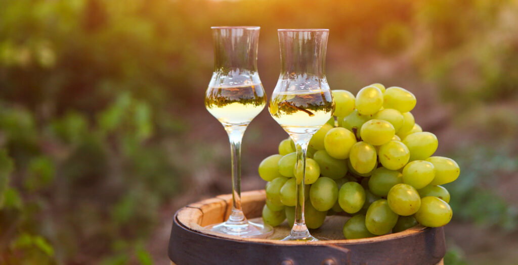 Grappe e liquori delle Terre di Pisa