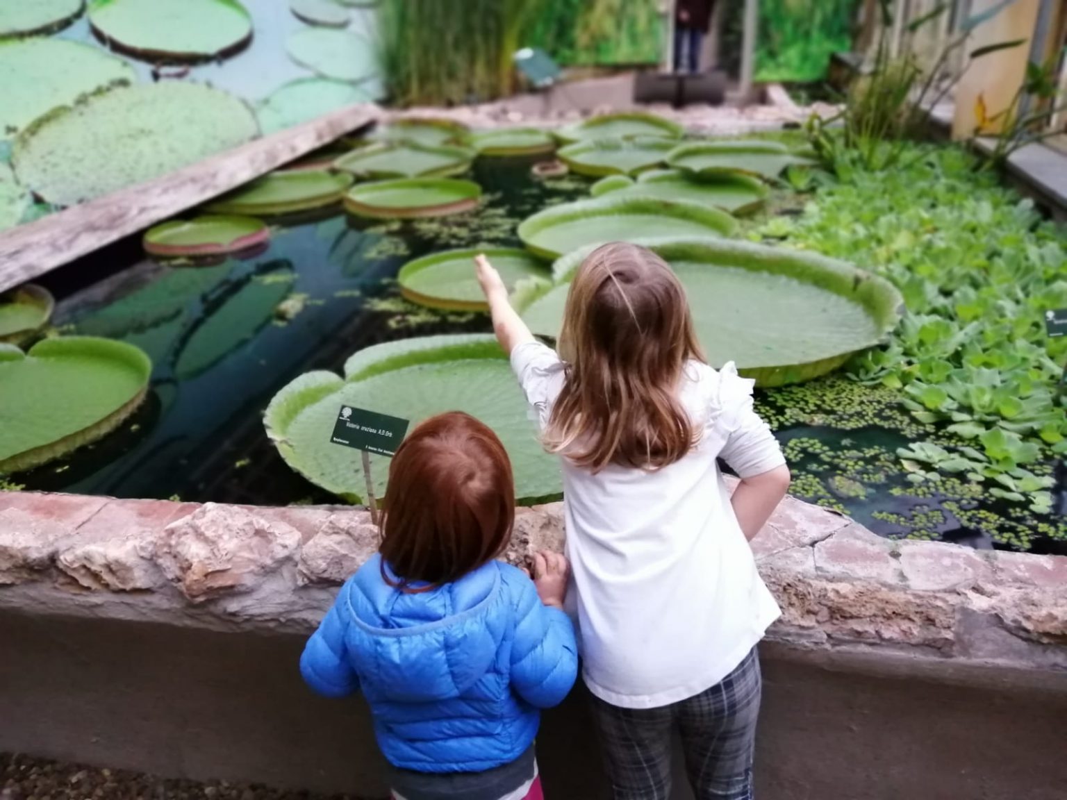 Attrazioni | Orto e Museo Botanico di Pisa | Terre di Pisa